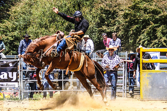 TaralgaSun 175