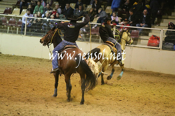 RDAug2013_1098