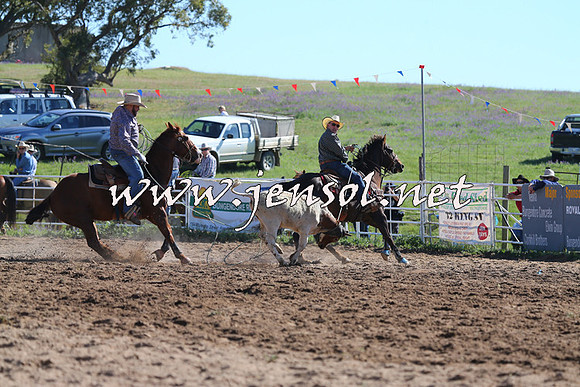 BungendoreRodeo2014_0015