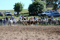 BungendoreRodeo2014_0047