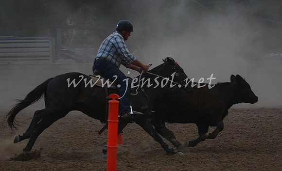 TaralgaCampdraft2013_0481_edited-1
