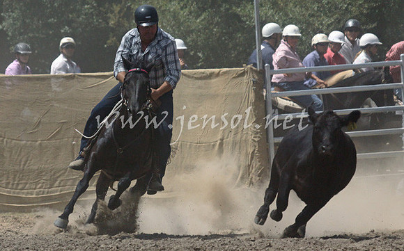 TaralgaCampdraft2013KJS_0134_edited-1