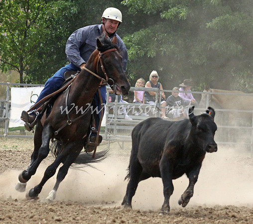 TaralgaCampdraft2013KJS_0052_edited-1