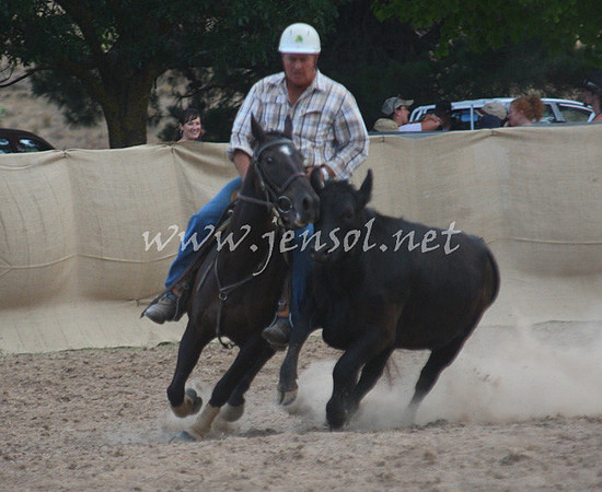 TaralgaCampdraft2013_0507_edited-1