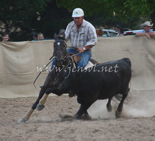 TaralgaCampdraft2013_0506_edited-1