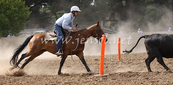 TaralgaCampdraft2013KJS_0006_edited-1