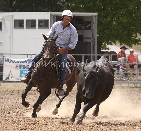 TaralgaCampdraft2013KJS_0068_edited-1