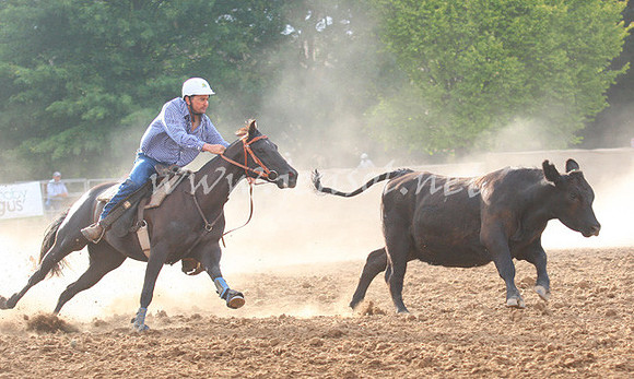 TaralgaCampdraft2013_0018_edited-1