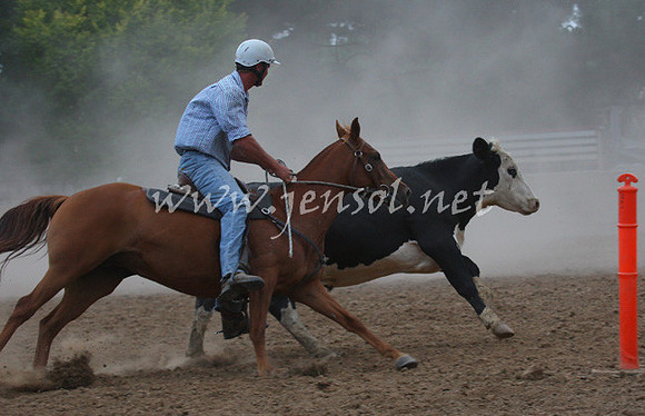 TaralgaCampdraft2013_0521_edited-1