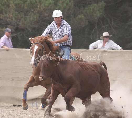 TaralgaCampdraft2013KJS_0096_edited-1