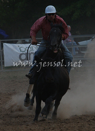 TaralgaCampdraft2013_0497_edited-1