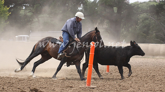 TaralgaCampdraft2013KJS_0054_edited-1