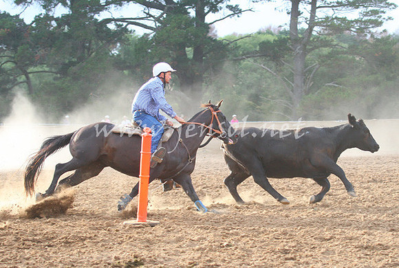 TaralgaCampdraft2013_0019_edited-1