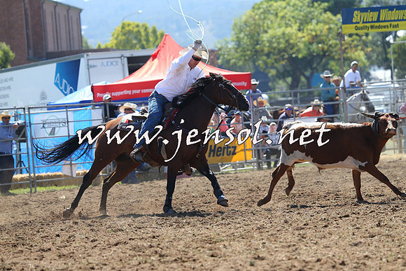 QueanbeyanRodeo2015_0543