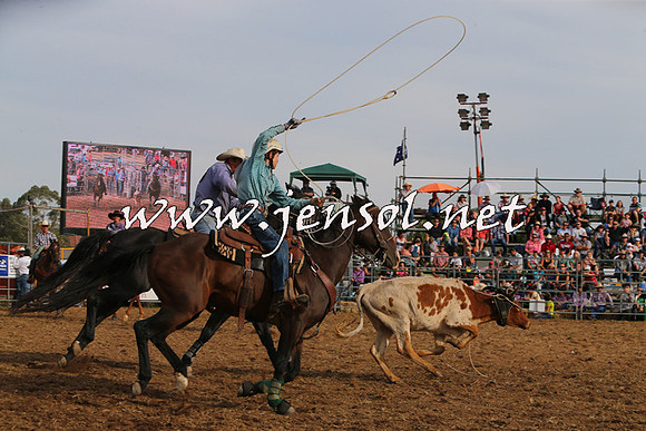 QueanbeyanRodeo2015_3366