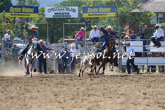 QueanbeyanRodeo2015_1416