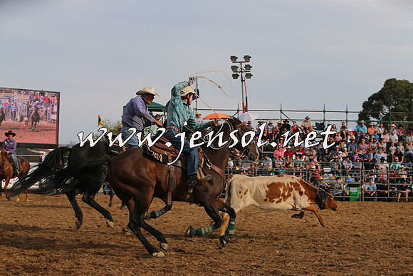 QueanbeyanRodeo2015_3364