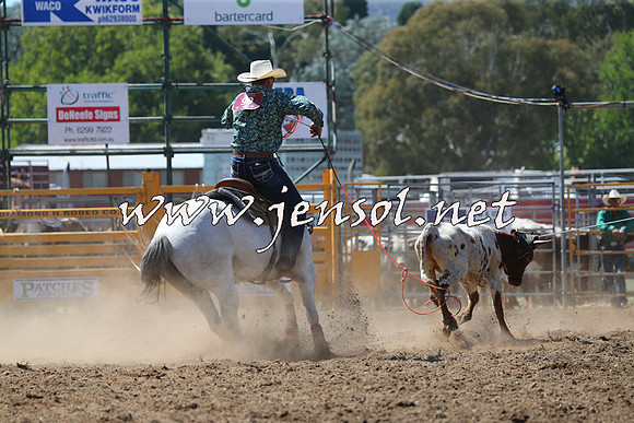 QueanbeyanRodeo2015_1421