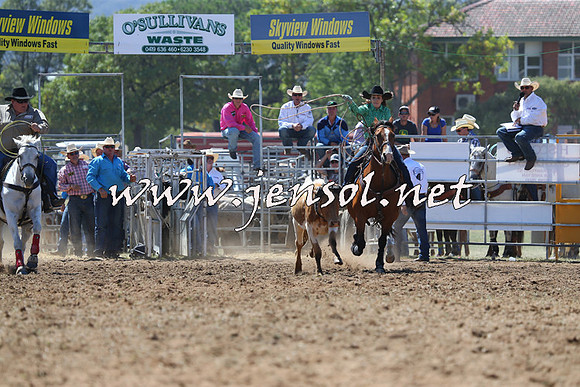 QueanbeyanRodeo2015_1464