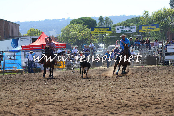 QueanbeyanRodeo2015_0503