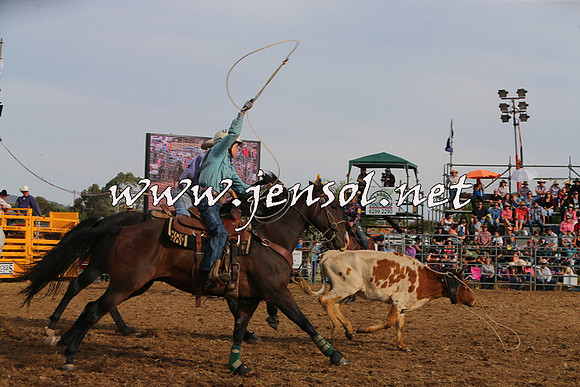 QueanbeyanRodeo2015_3365