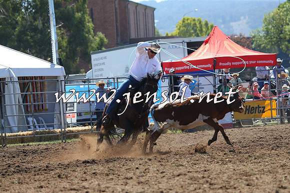 QueanbeyanRodeo2015_0538