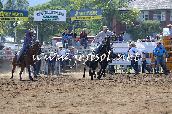 QueanbeyanRodeo2015_0559