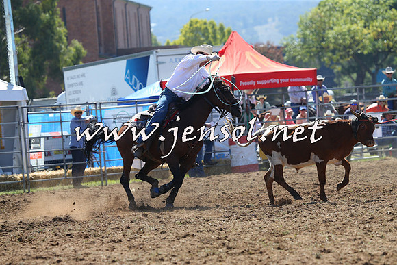QueanbeyanRodeo2015_0535