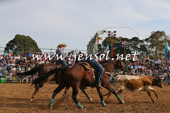 QueanbeyanRodeo2015_3287