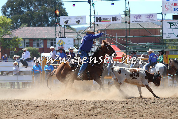 QueanbeyanRodeo2015_1487