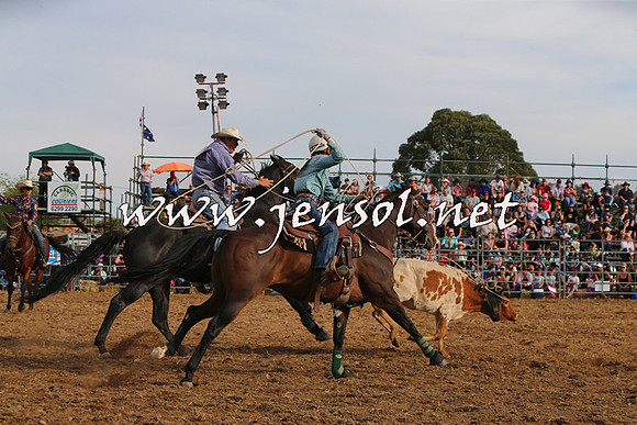 QueanbeyanRodeo2015_3360