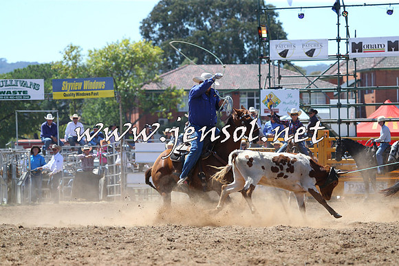 QueanbeyanRodeo2015_1492