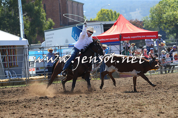 QueanbeyanRodeo2015_0531