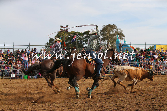 QueanbeyanRodeo2015_3289