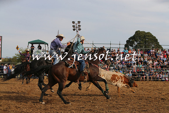 QueanbeyanRodeo2015_3359