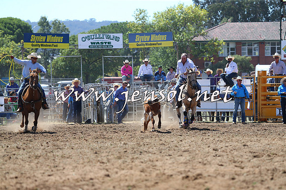 QueanbeyanRodeo2015_1404