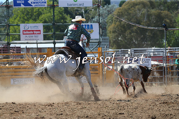 QueanbeyanRodeo2015_1420
