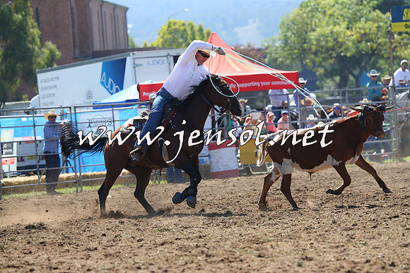 QueanbeyanRodeo2015_0532