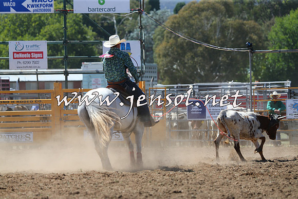 QueanbeyanRodeo2015_1428