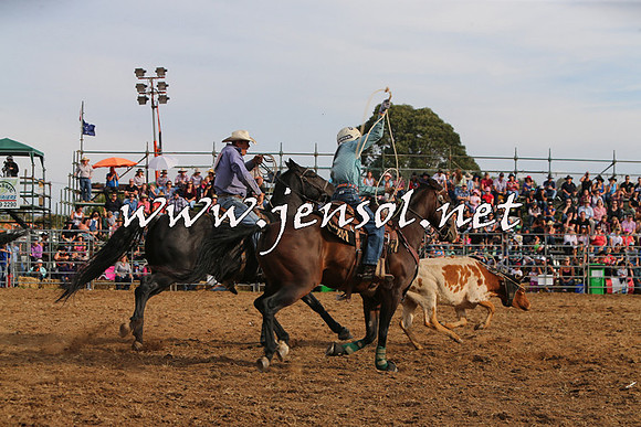 QueanbeyanRodeo2015_3361