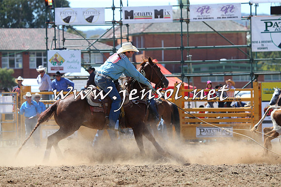 QueanbeyanRodeo2015_1452