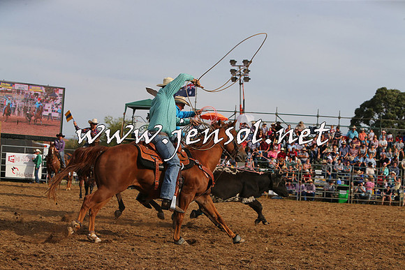 QueanbeyanRodeo2015_3339
