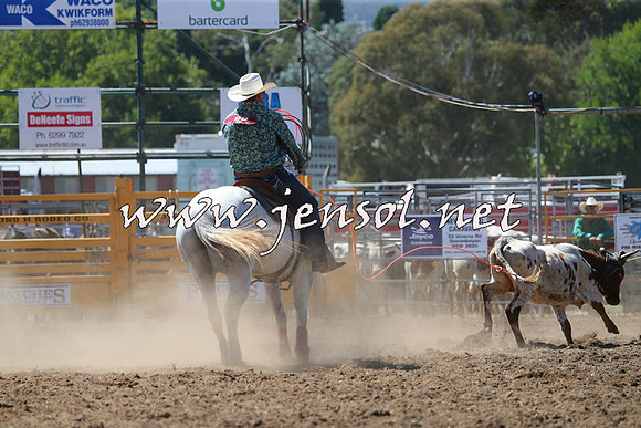 QueanbeyanRodeo2015_1429