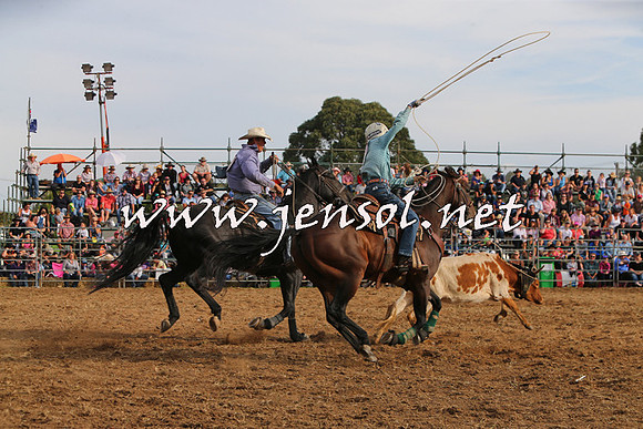 QueanbeyanRodeo2015_3362