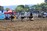 QueanbeyanRodeo2015_0502