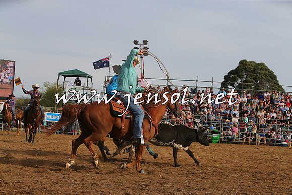 QueanbeyanRodeo2015_3337
