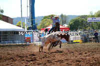QueanbeyanRodeo2016_4109