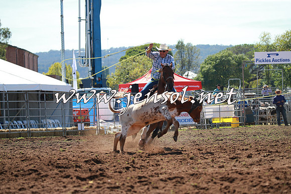 QueanbeyanRodeo2016_4109