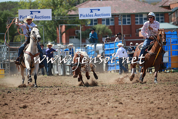 QueanbeyanRodeo2016_5113
