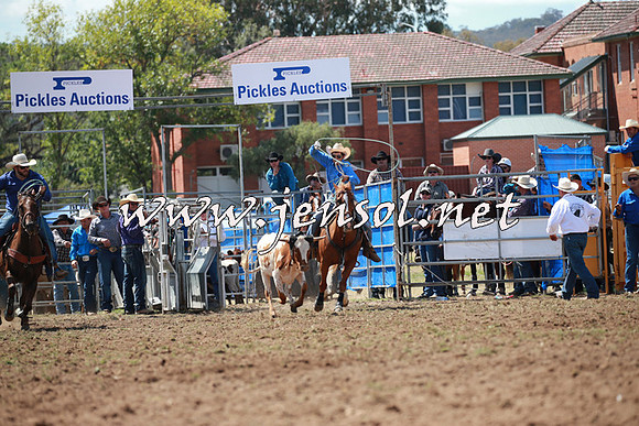 QueanbeyanRodeo2016_5105